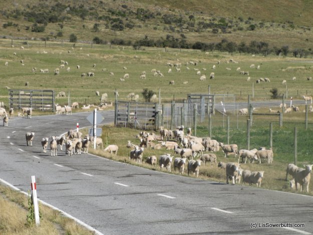 New Zealand Does Some Things Well: Lamb, Scenery, and Simple Tax Codes come to mind 